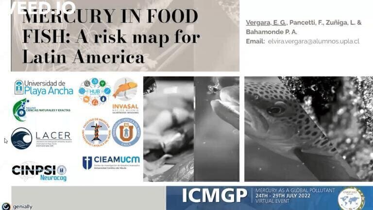 Mercury in fish: assessing the risks in Latin America and the Caribbean